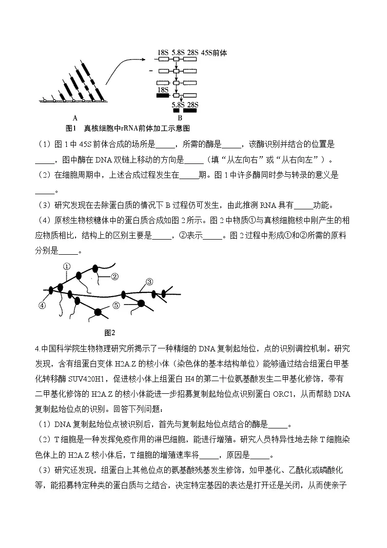 高考生物二轮复习模块分练专题7 遗传的分子基础（非选择题）（含解析）第3页