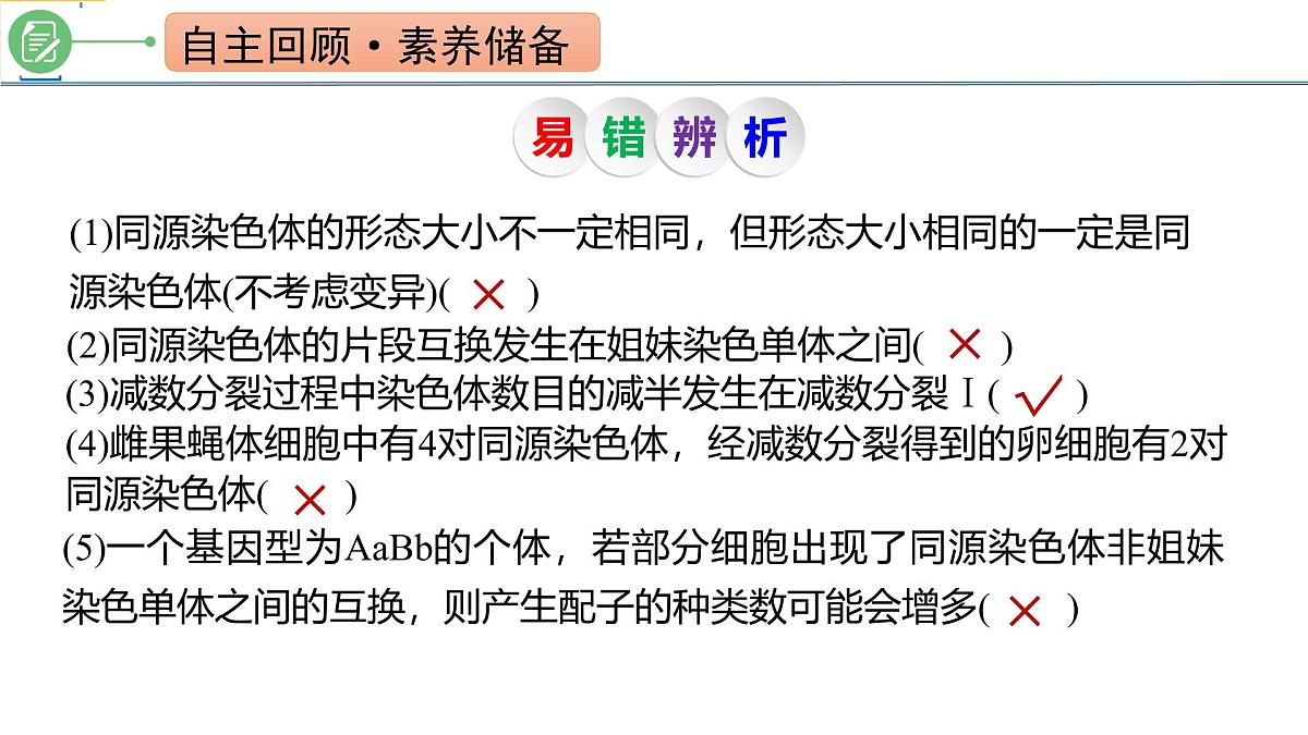 高考生物一轮复习考点课件第4单元第3课时 减数分裂和受精作用第4页