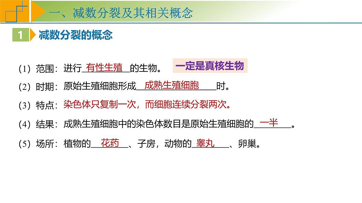高考生物一轮复习考点课件第4单元第3课时 减数分裂和受精作用第6页