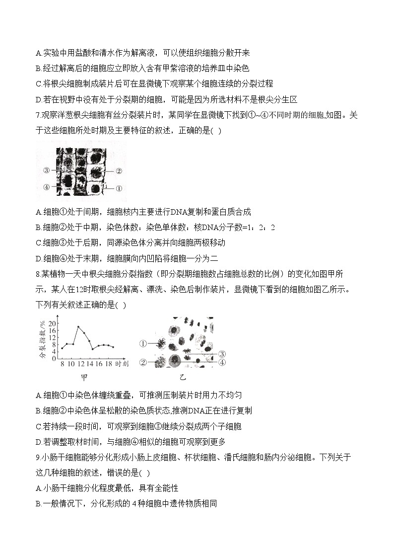 高考生物一轮复习考点剖析练习专题五 细胞的生命历程（含解析）第3页