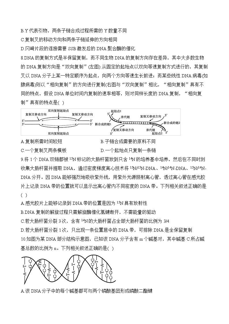 高考生物一轮复习考点剖析练习专题七 遗传的分子基础（含解析）第3页