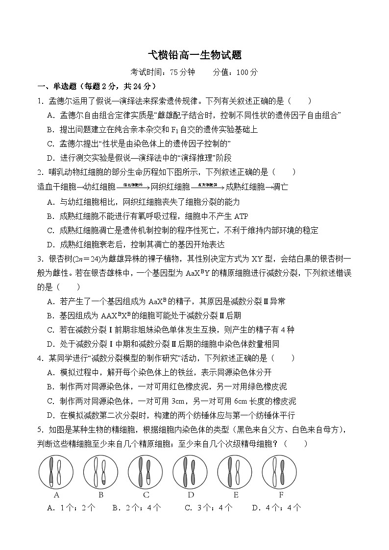江西省上饶市弋、铅、横联考2024-2025学年高一下学期5月月考生物试卷第1页