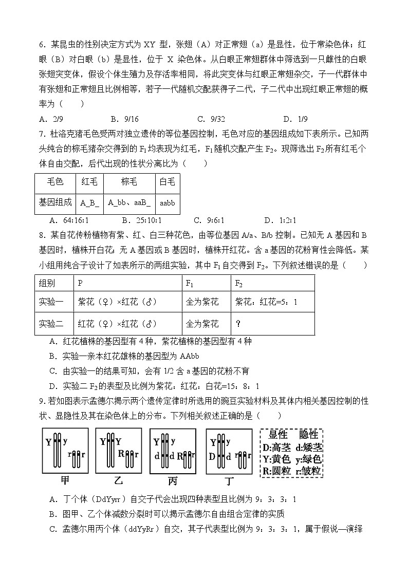 江西省上饶市弋、铅、横联考2024-2025学年高一下学期5月月考生物试卷第2页
