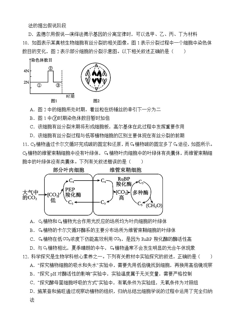 江西省上饶市弋、铅、横联考2024-2025学年高一下学期5月月考生物试卷第3页