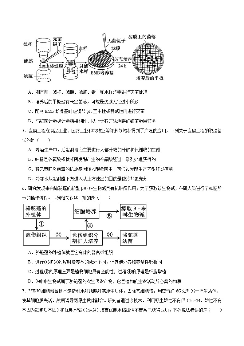 四川省绵阳南山中学2024-2025学年高二下学期4月期中考试生物试卷（Word版附答案）第2页