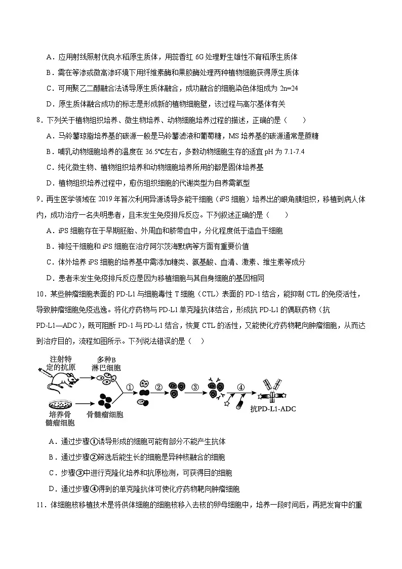 四川省绵阳南山中学2024-2025学年高二下学期4月期中考试生物试卷（Word版附答案）第3页