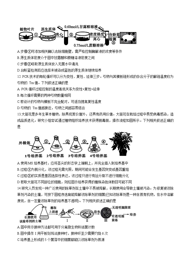 天津市五区县重点校联考2024-2025学年高二下学期4月期中生物试卷第3页