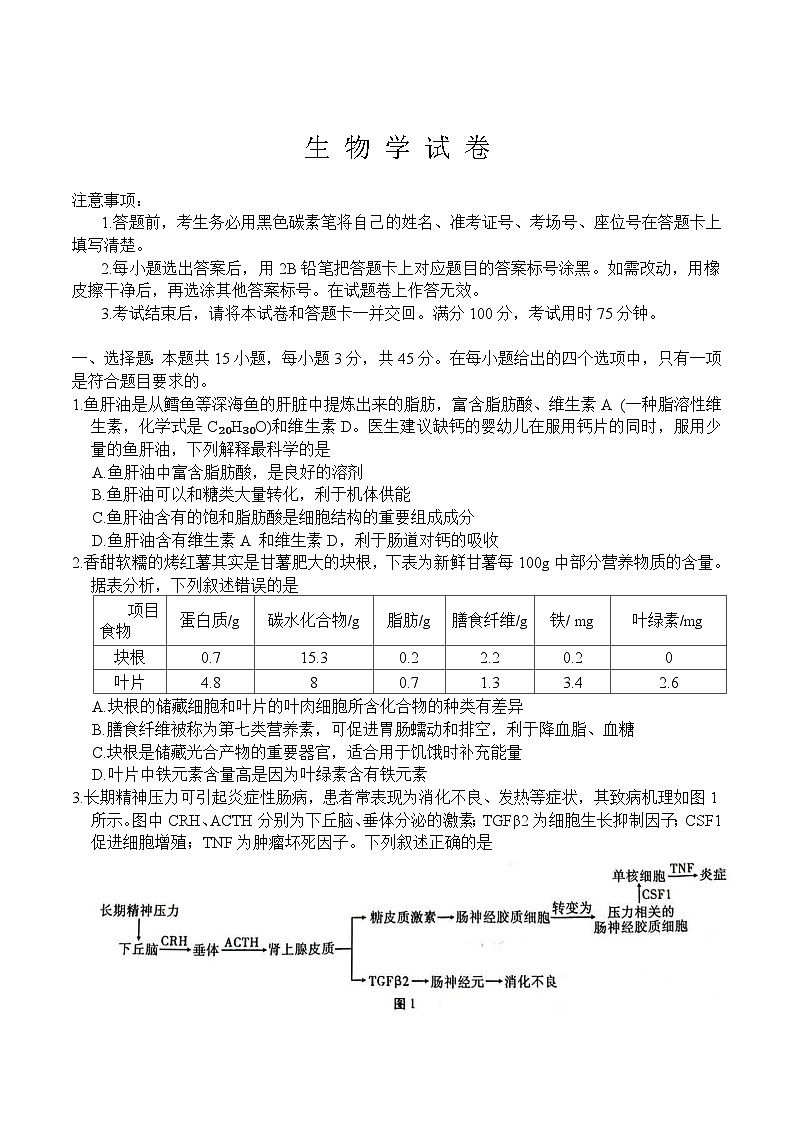 重庆市第八中学校2025届高三下学期三诊生物试卷第1页