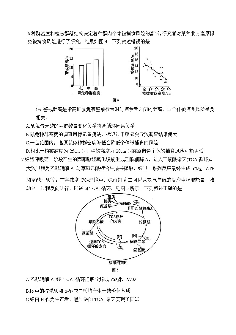 重庆市第八中学校2025届高三下学期三诊生物试卷第3页