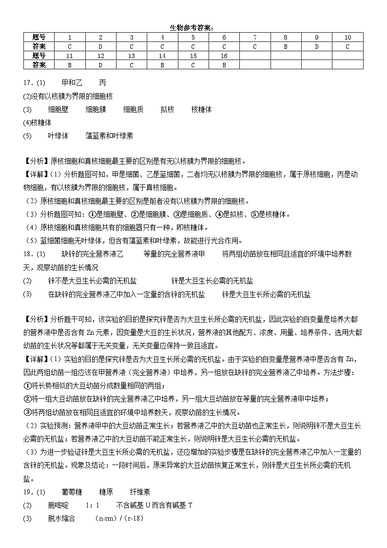生物答案第1页