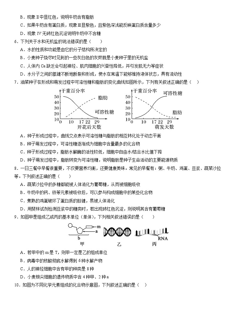 2024—2025学年度第一学期高一年级第一次月考生物试卷第2页