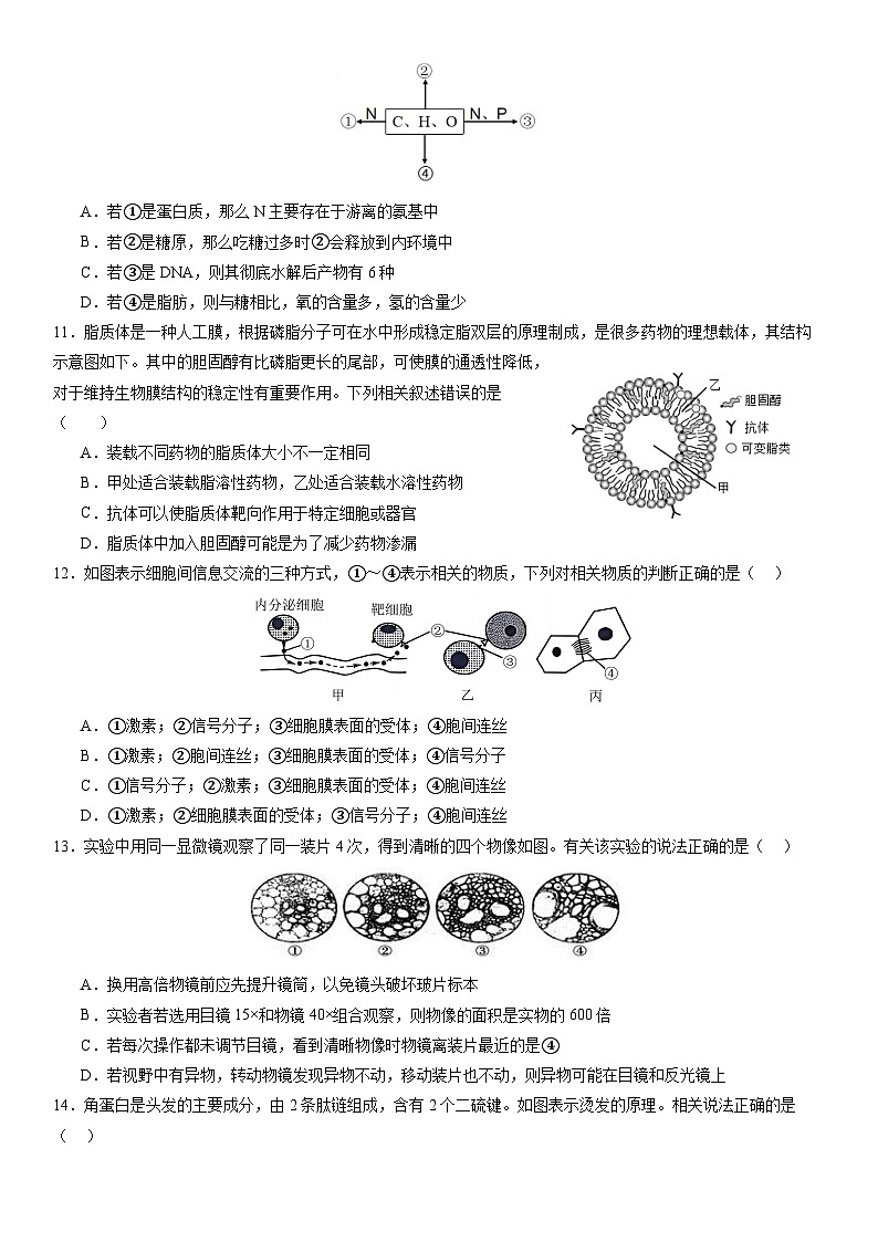 2024—2025学年度第一学期高一年级第一次月考生物试卷第3页