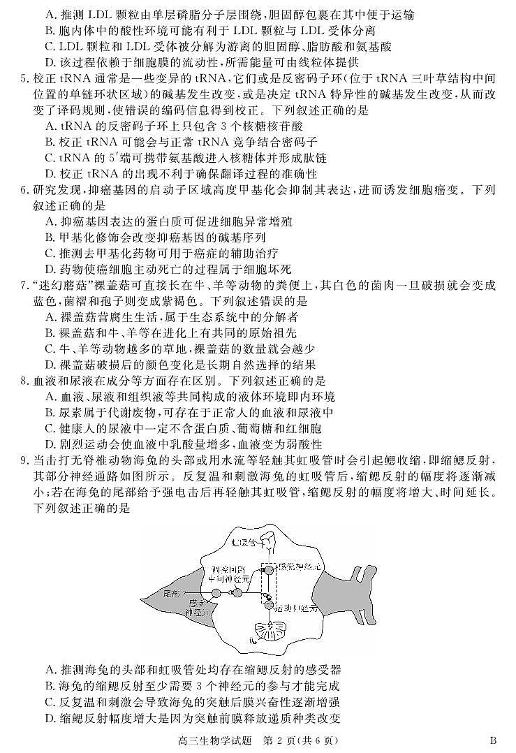 安徽省华师联盟2025届高三第二学期5月质量检测生物-B第2页