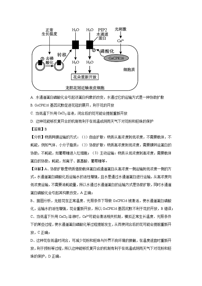 湖南省郴州市2025届高三三模生物试题（解析版）第3页