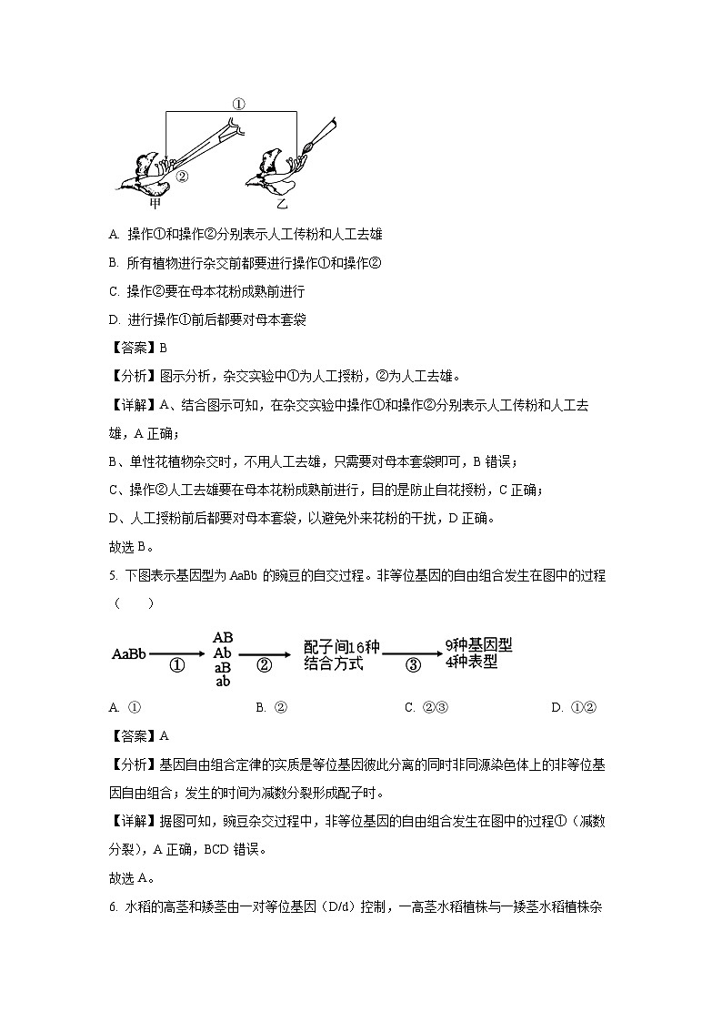 山西省部分重点中学2024-2025学年高一下学期4月月考生物试题（解析版）第3页