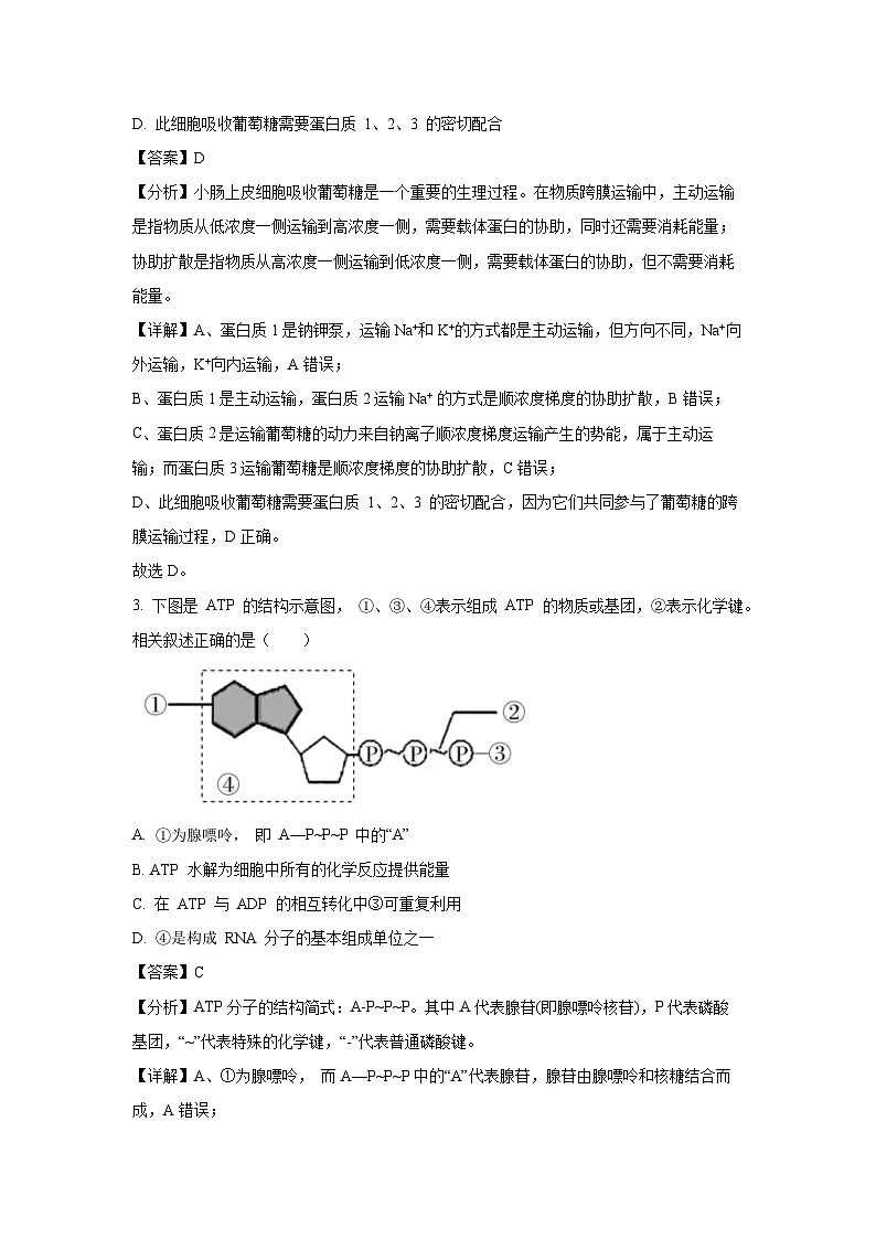 江苏省南通市直2023-2024学年高一下学期3月质量监测生物试题（解析版）第2页