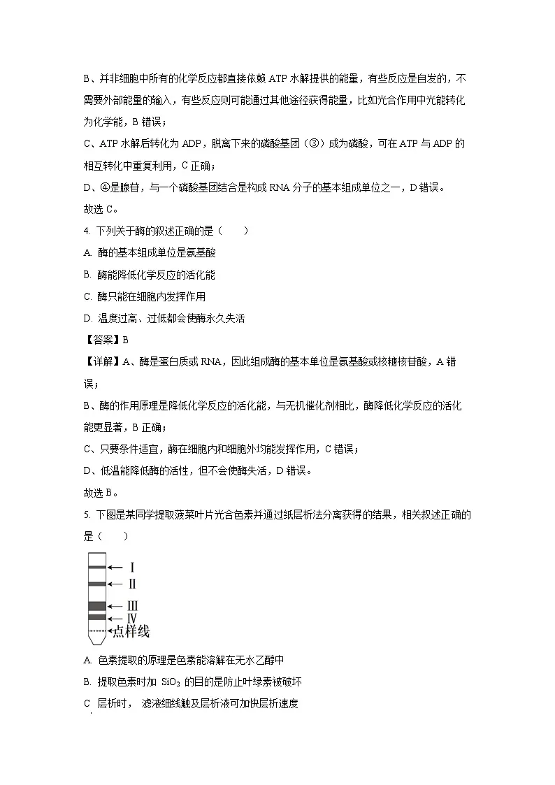江苏省南通市直2023-2024学年高一下学期3月质量监测生物试题（解析版）第3页