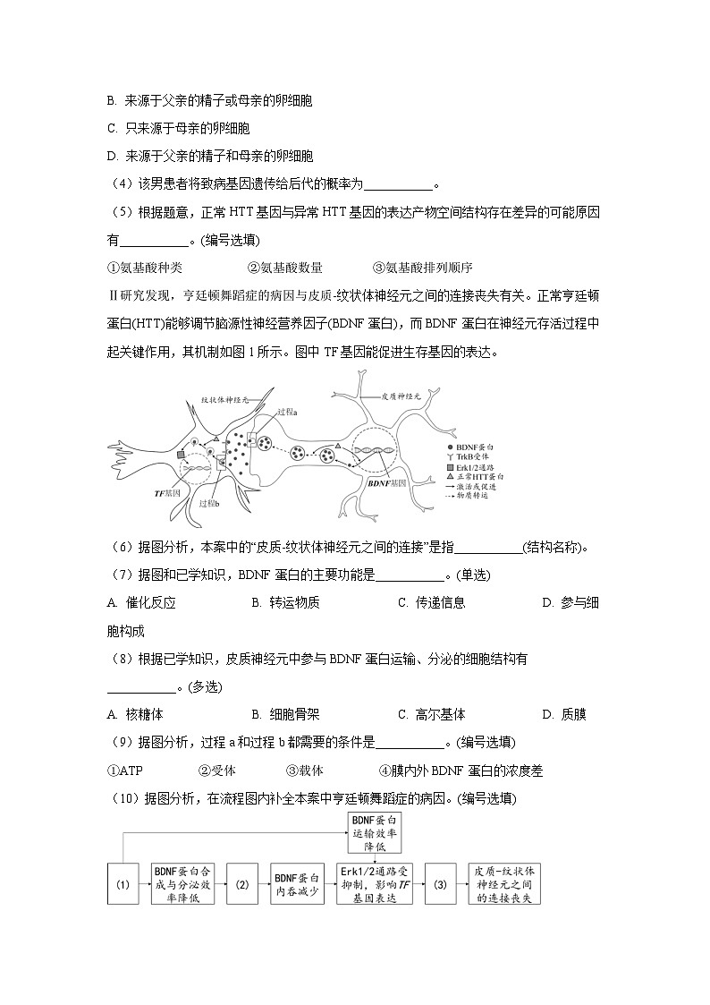 上海松江区2024—2025学年高三下学期二模生物试题（解析版）第2页