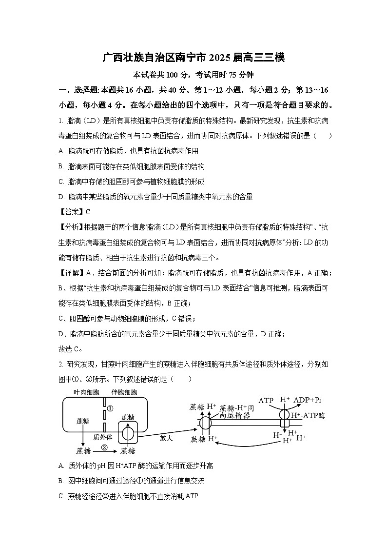 广西南宁市2025届高三三模生物试题（解析版）第1页