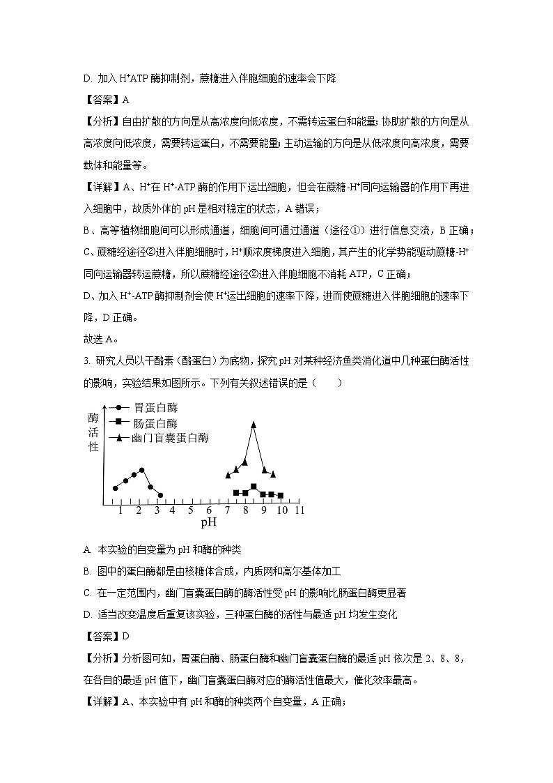 广西南宁市2025届高三三模生物试题（解析版）第2页