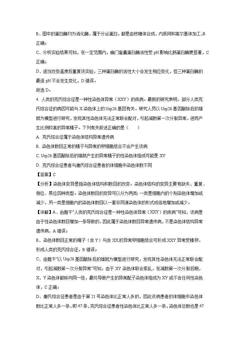 广西南宁市2025届高三三模生物试题（解析版）第3页