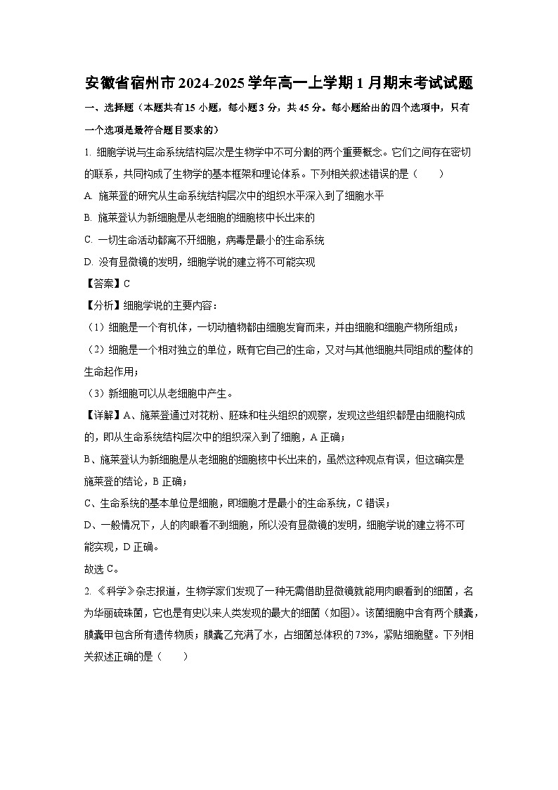 安徽省宿州市2024-2025学年高一上学期1月期末考试生物试题（解析版）第1页