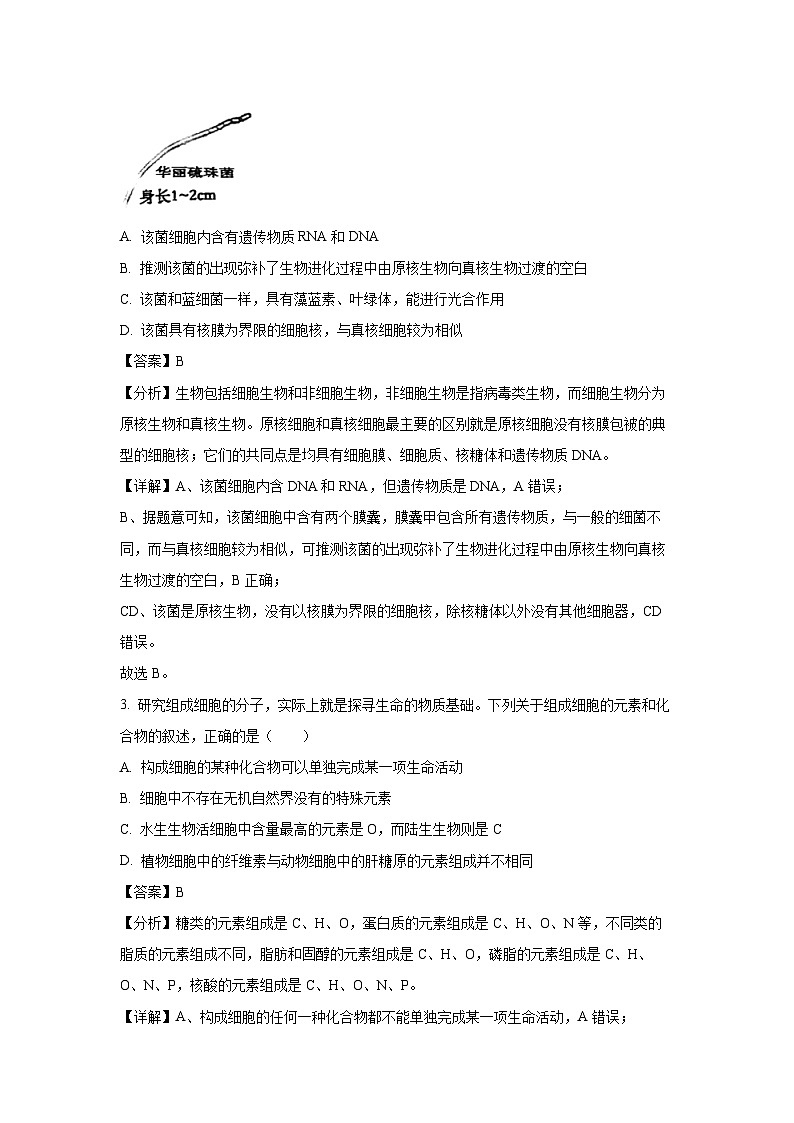 安徽省宿州市2024-2025学年高一上学期1月期末考试生物试题（解析版）第2页
