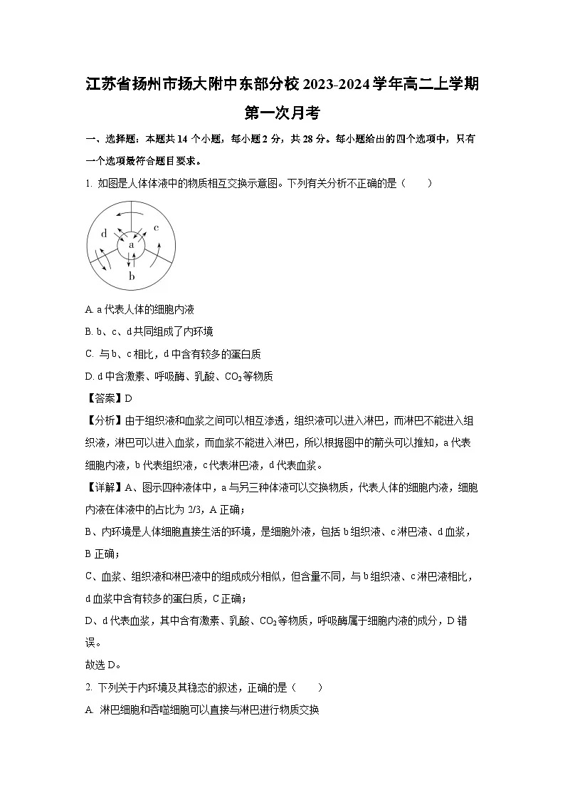 江苏省扬州市扬大附中东部分校2023-2024学年高二上学期第一次月考生物试题（解析版）第1页