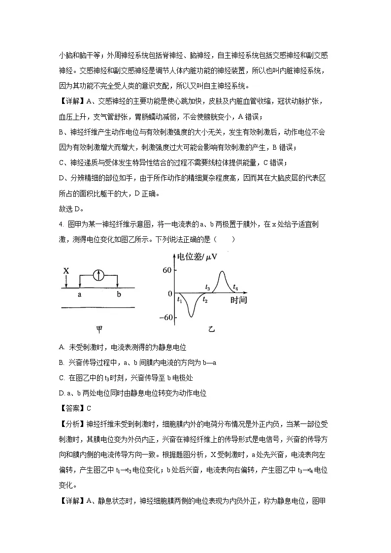 江苏省扬州市扬大附中东部分校2023-2024学年高二上学期第一次月考生物试题（解析版）第3页