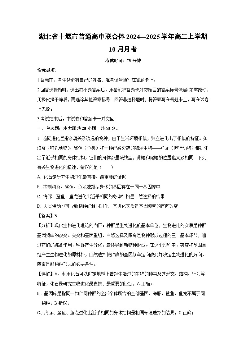 湖北省十堰市普通高中联合体2024—2025学年高二上学期10月月考生物试题（解析版）第1页