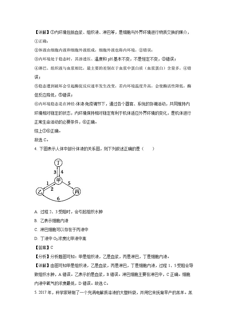 湖北省十堰市普通高中联合体2024—2025学年高二上学期10月月考生物试题（解析版）第3页