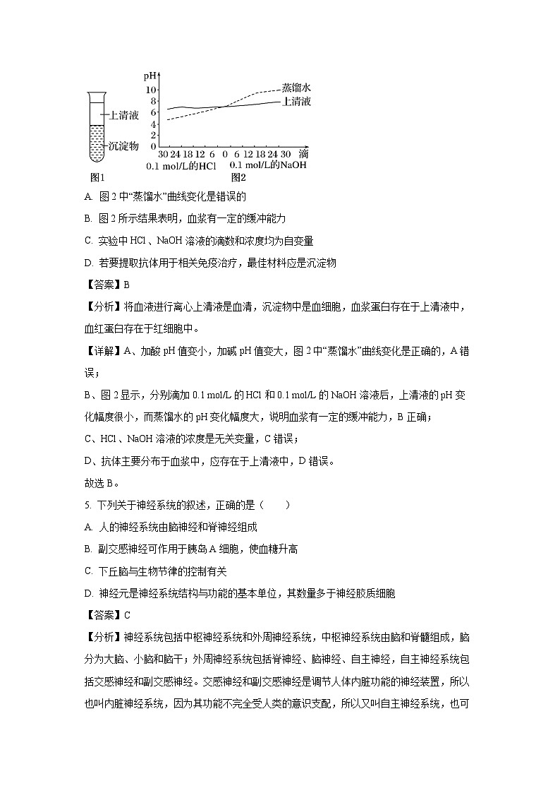 河南省洛阳市洛阳创新联盟发展2024-2025学年高二上学期10月月考生物试题（解析版）第3页