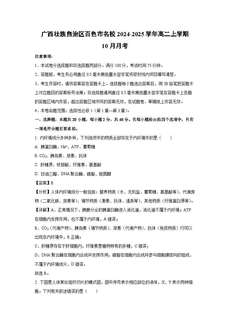 广西壮族自治区百色市名校2024-2025学年高二上学期10月月考生物试题（解析版）第1页