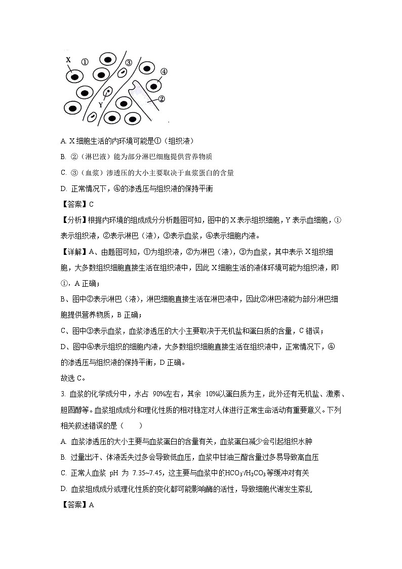 广西壮族自治区百色市名校2024-2025学年高二上学期10月月考生物试题（解析版）第2页