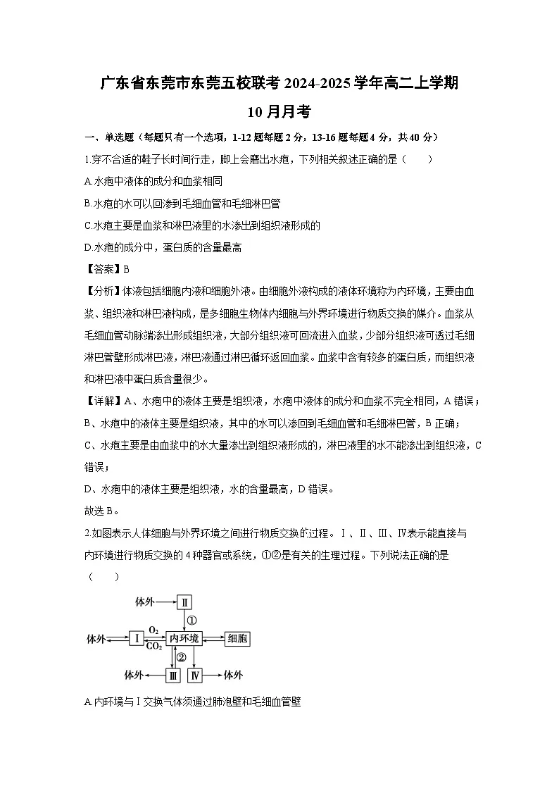 广东省东莞市东莞五校联考2024-2025学年高二上学期10月月考生物试题（解析版）第1页