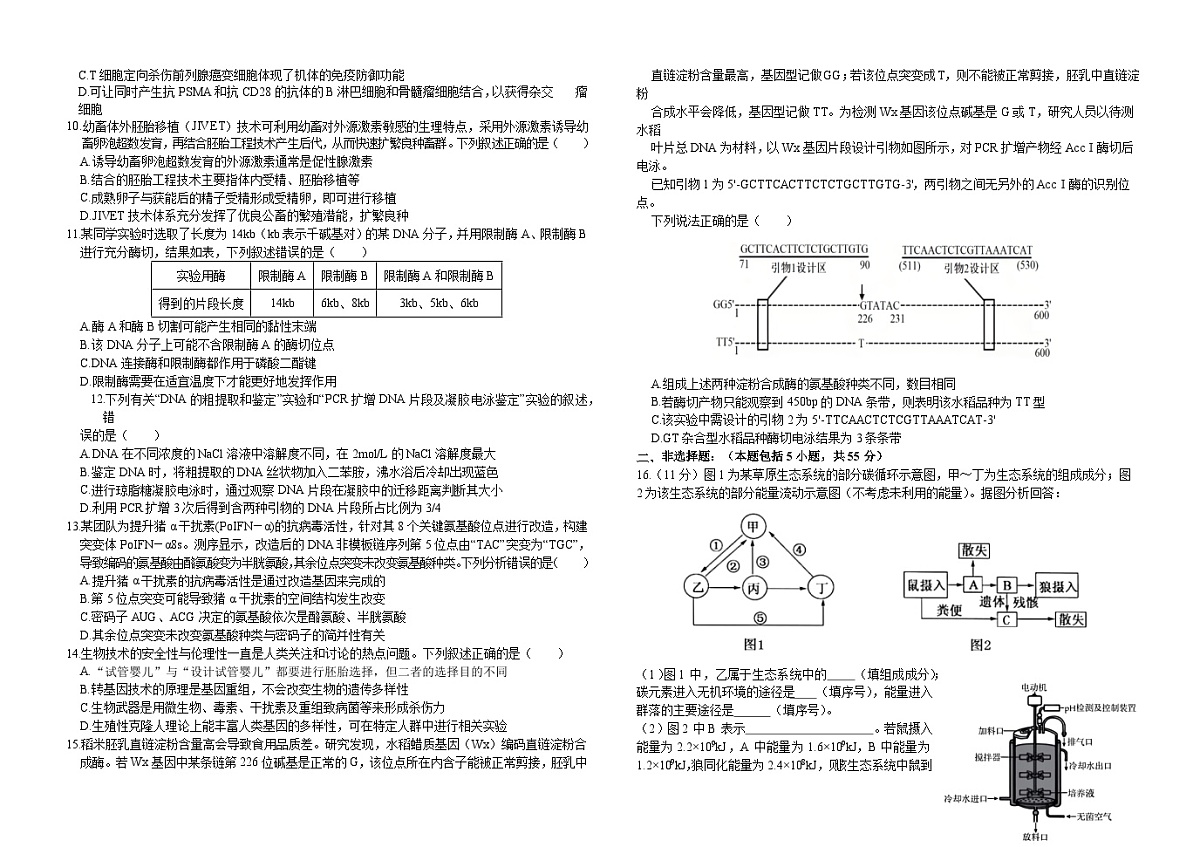 高2023级生物试卷第二次月考 第2页
