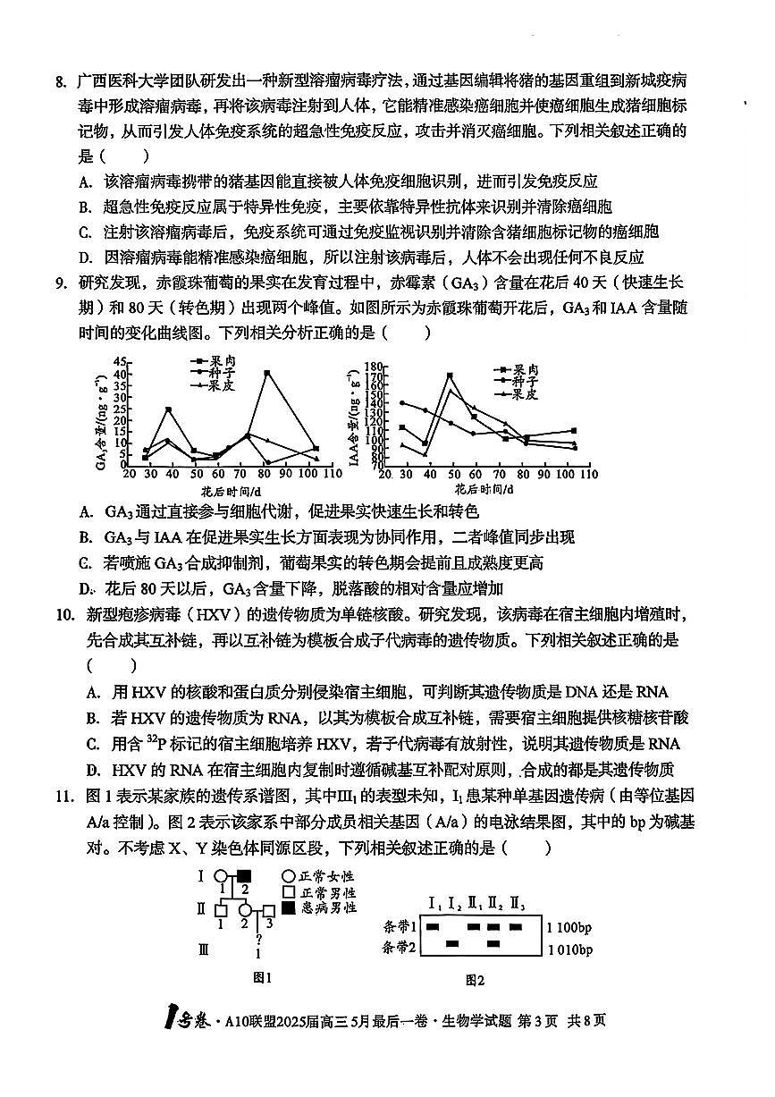 1号卷·A10联盟2025届高三5月最后一卷生物第3页