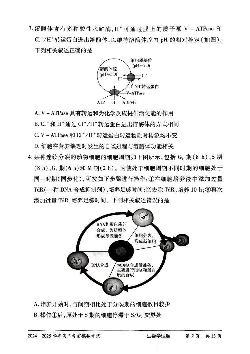 生物-天一大联考2025届高考考前模拟试题及答案第2页