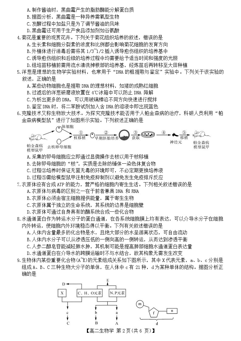 广西北海市2023-2024学年高二下学期期末教学质量检测生物试卷第2页