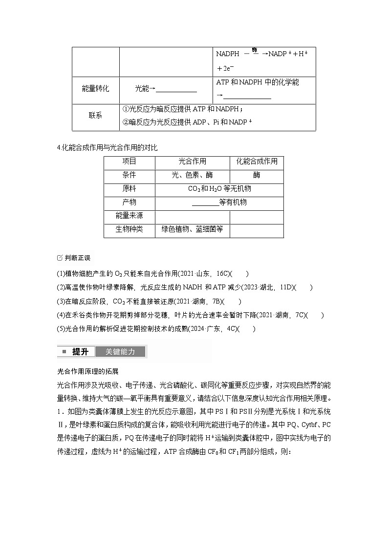 第三单元　第13课时　光合作用的原理第2页