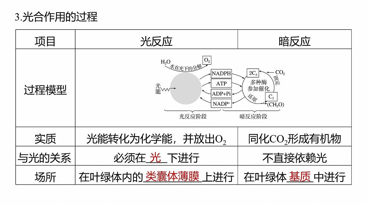 第三单元　第13课时　光合作用的原理第5页