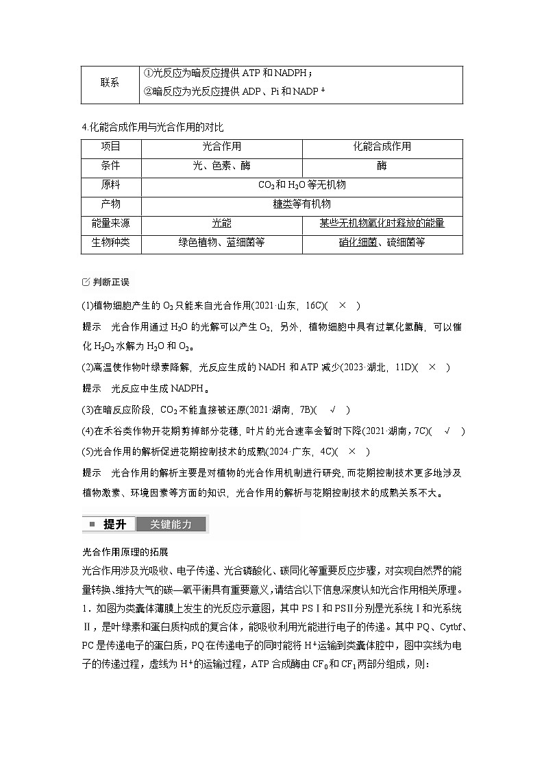第三单元　第13课时　光合作用的原理（教师版）第2页