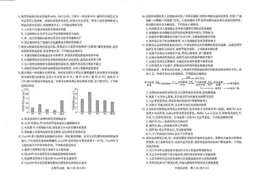 2025届湖北省武汉市高三五月模拟训练生物试卷第2页