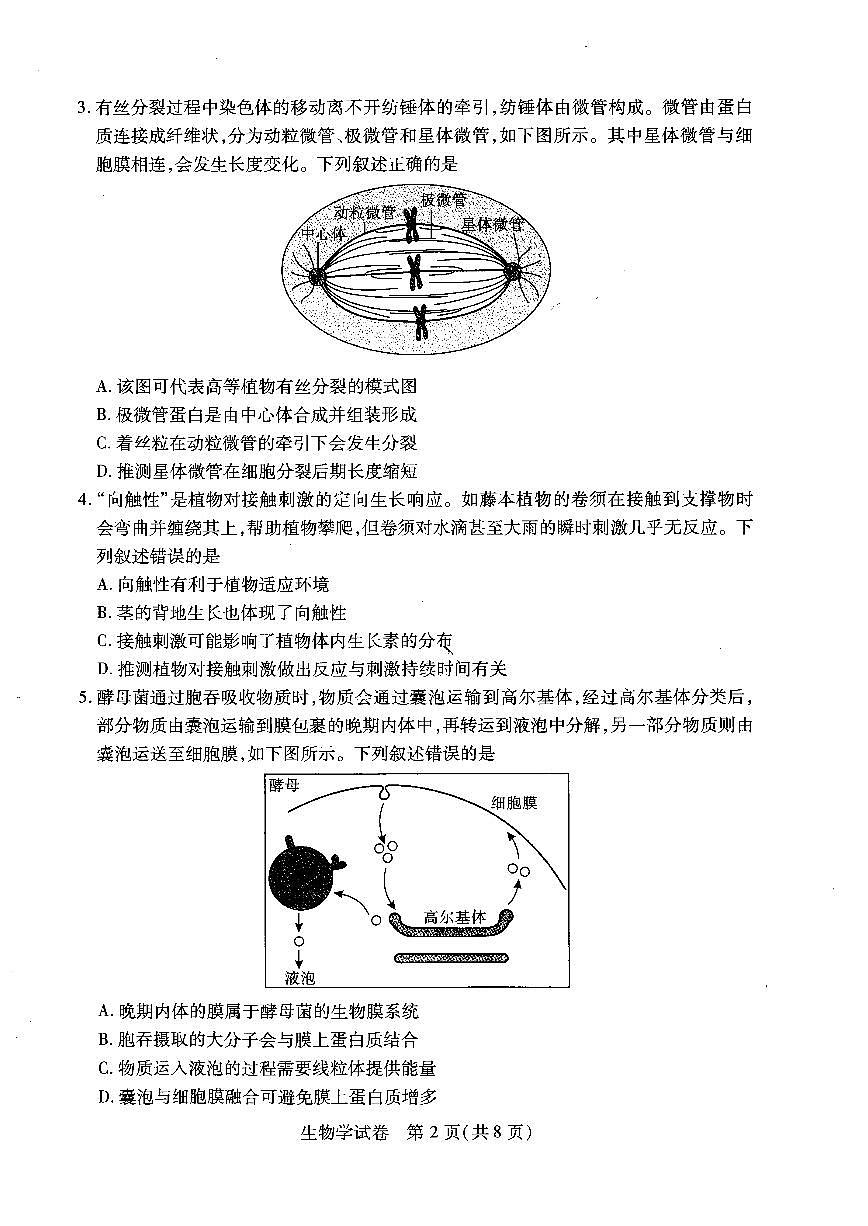 生物试卷（A4版）第2页