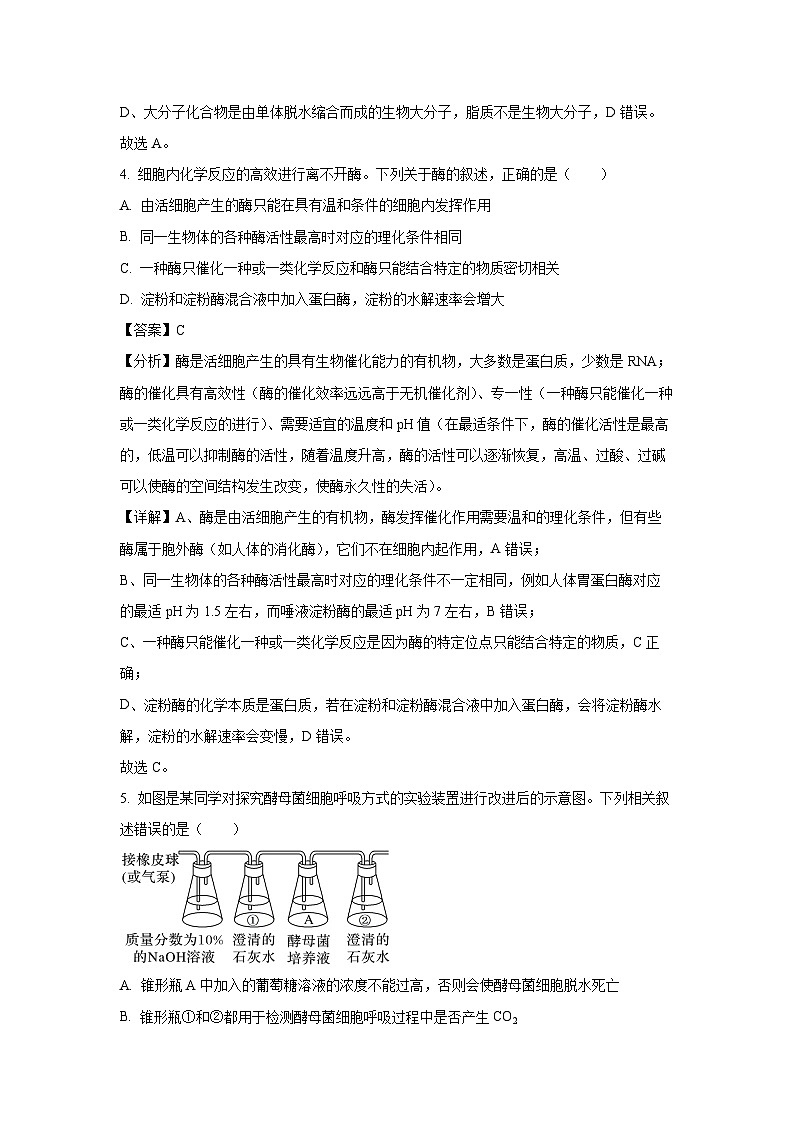 山西省大同市部分学校2023-2024学年高一下学期3月月考生物试题（解析版）第3页