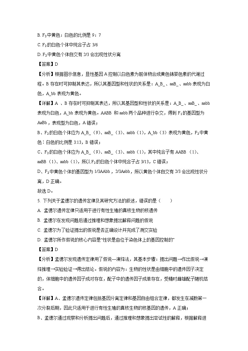江苏省无锡市江阴市两校联考2023-2024学年高一下学期3月月考生物试题（解析版）第3页