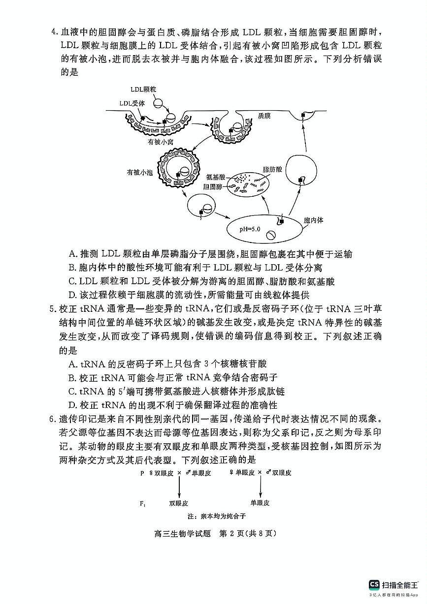 2025届河南省部分学校高三下学期5月月考生物试题（高考模拟）第2页