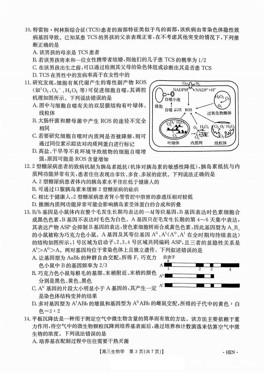 2025届河南省金太阳高三下学期高考适应性考试生物试卷（高考模拟）第3页
