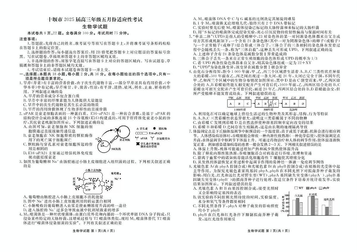 2025届湖北省十堰市高三下学期5月份适应性考试生物试题（高考模拟）第1页