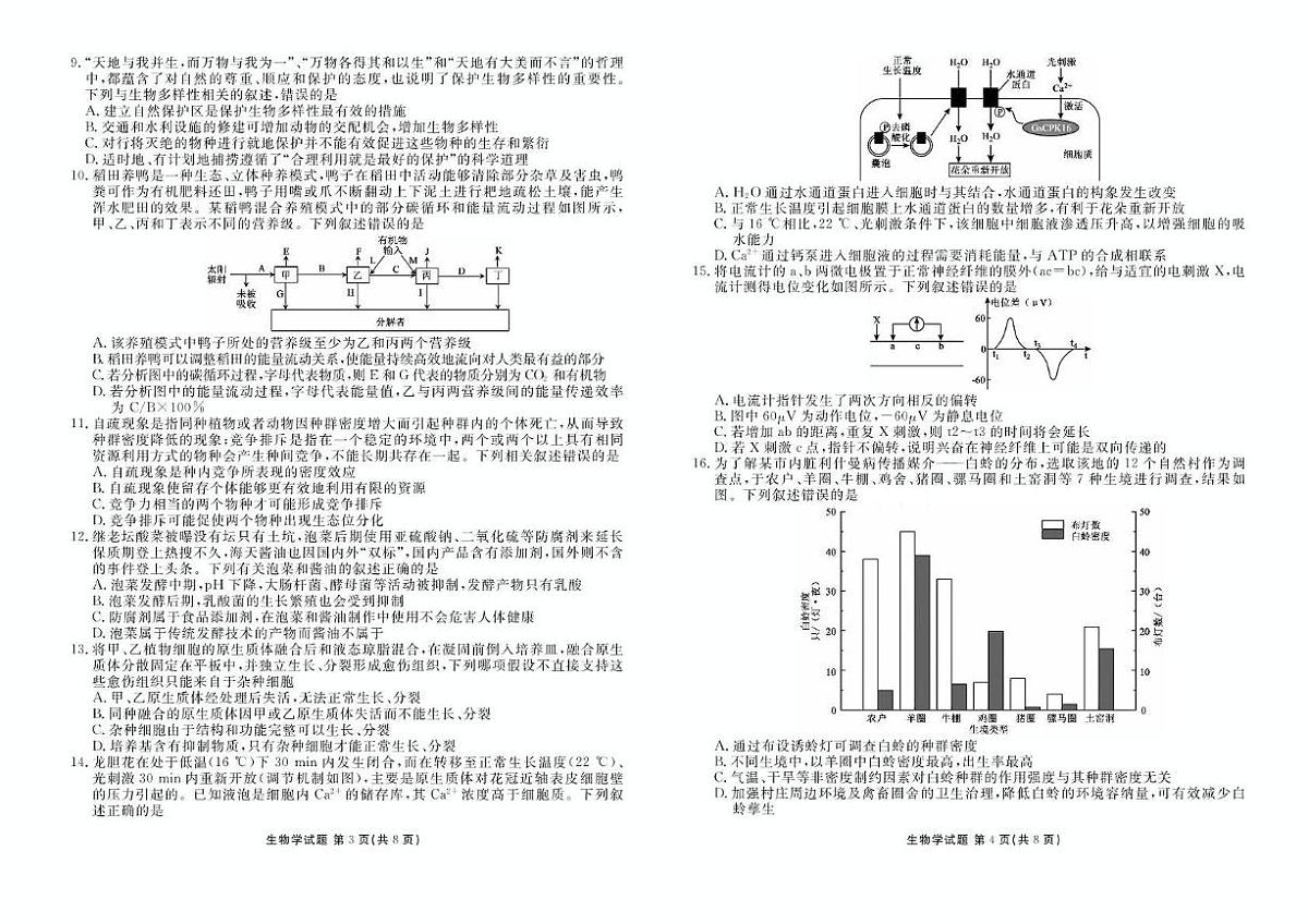 2025届湖北省十堰市高三下学期5月份适应性考试生物试题（高考模拟）第2页